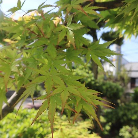 立花荘 Villa Matsuyama  Dış mekan fotoğraf