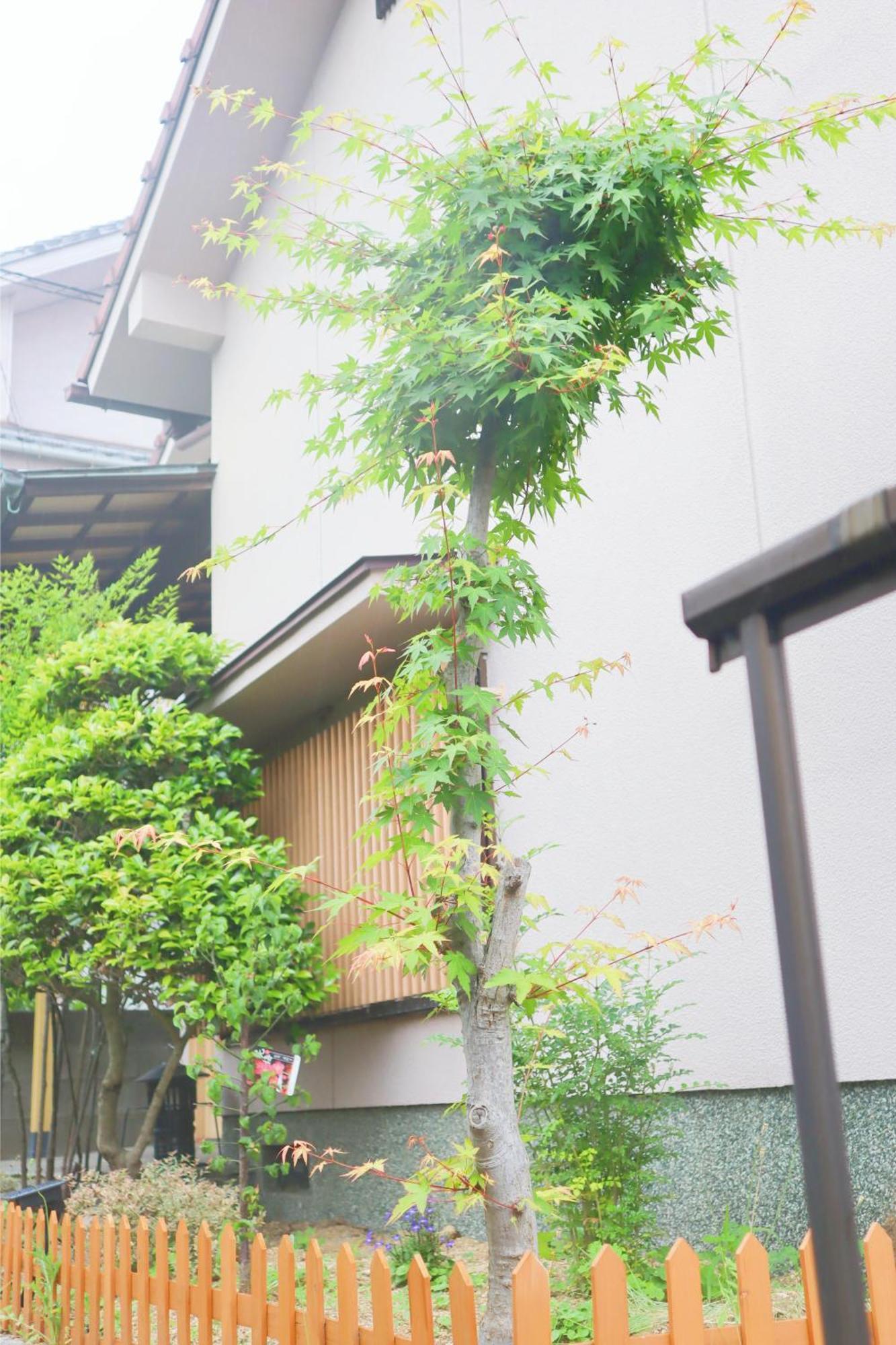 立花荘 Villa Matsuyama  Dış mekan fotoğraf